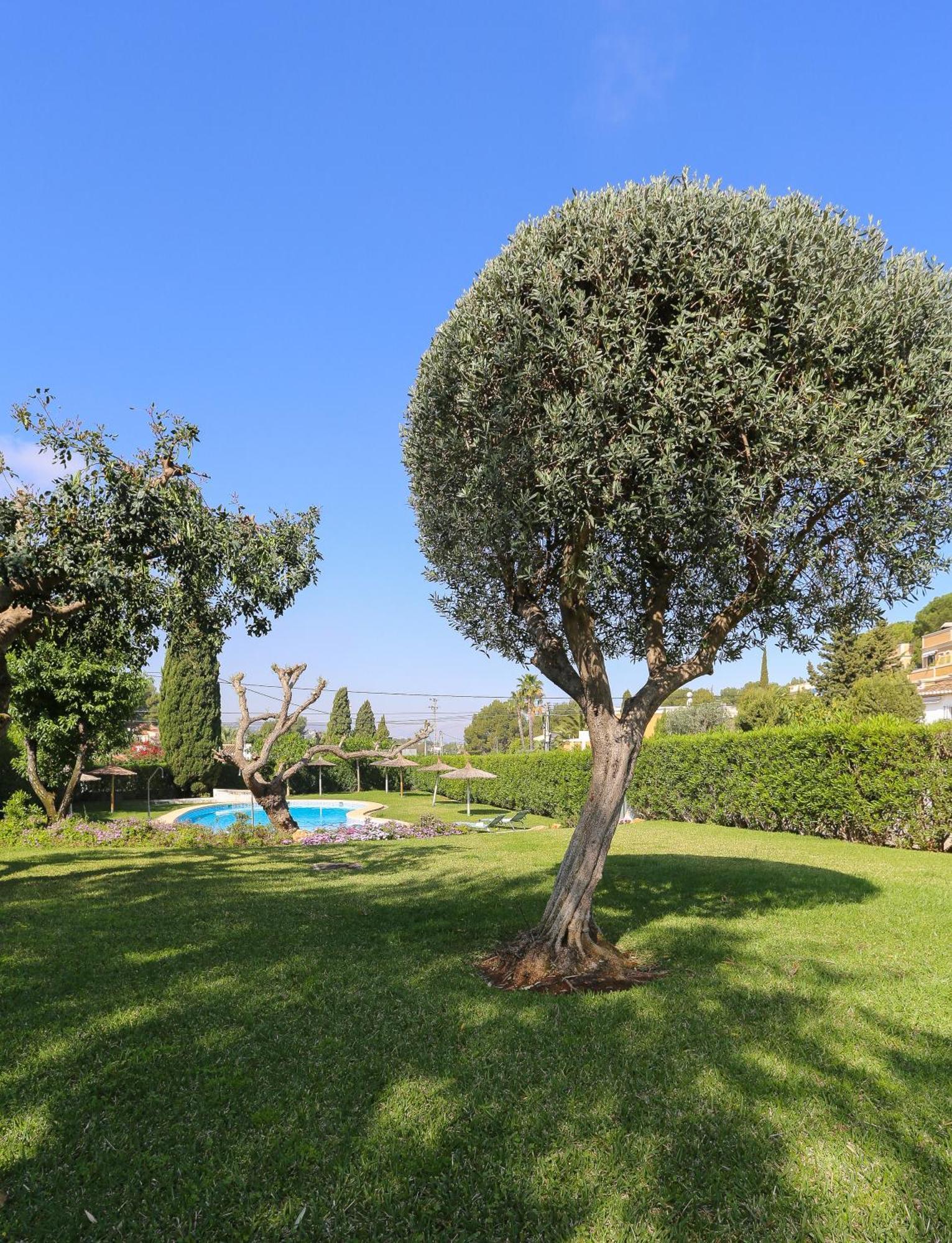 Retiro Sol - Apartamento Montesol B22 Denia Exterior photo